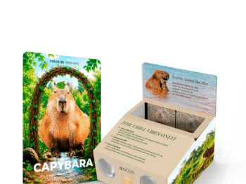 카피바라 Capybara 3D FOLCA 카드 DW-13