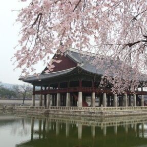 VR관광기념품, VR여행, VR여행기념품